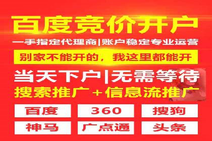 SEM搜索引擎优化策略解析与应用案例